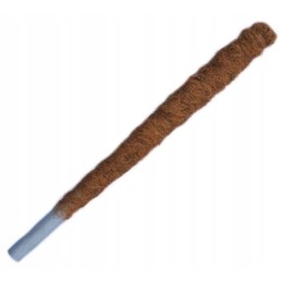 KOOKOSPUTK, viinapuu tugivarras, PAKS, 50 cm