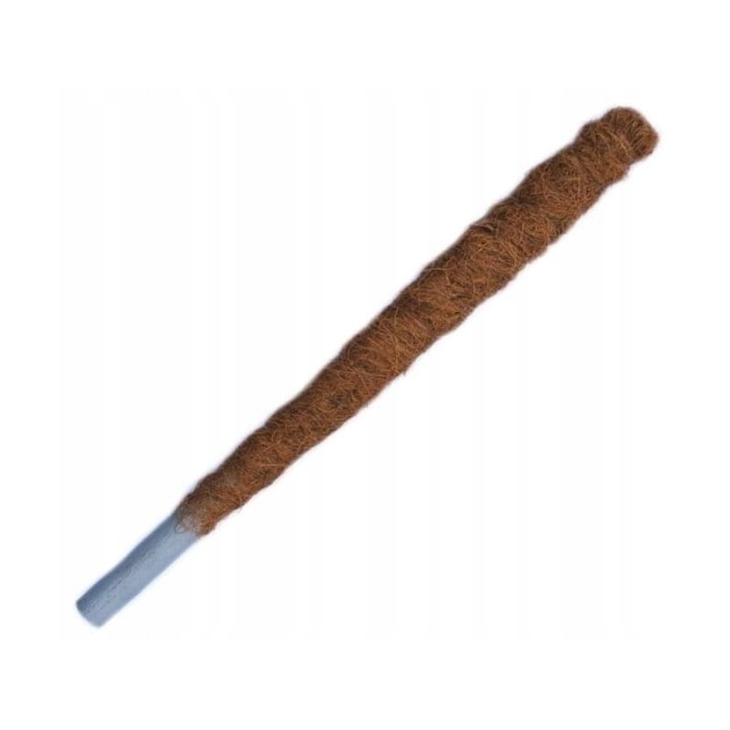 KOKOSO LAZDĖLIS, vynmedžių atraminis stulpas, STORIS, 50 cm