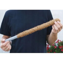KOKONA STICK, vīnogulāju atbalsta stabs, BIEZS, 50 cm