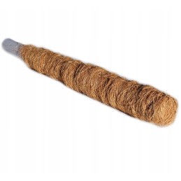 KOKOSO LAZDĖLIS, vynmedžių atraminis stulpas, STORIS, 50 cm