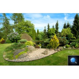 PIENO VEJOS KRAŠTO KRAŠTAS + 3 LAISVAI INKRAI