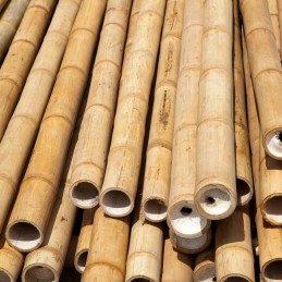 BioBamboo Stick bamboo pole 30cm 16-22mm bamboo