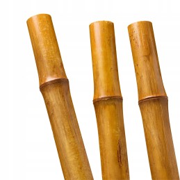 BioBamboo Stick bambuko lazdelė 30cm 16-22mm bambuko