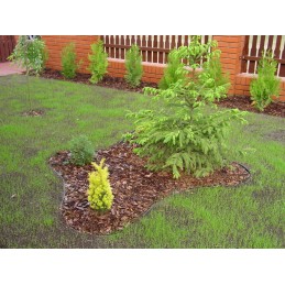 Lengvas Multi-Bord apvadas 58mm +3 inkarai/m žvyras, žolė