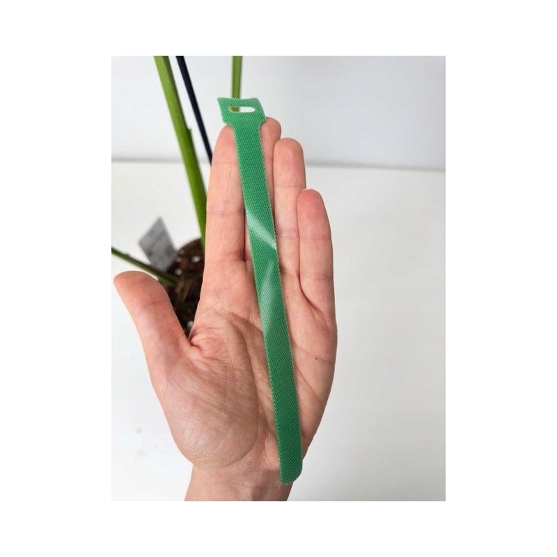 Garden Velcro for securing plants