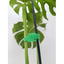 Garden Velcro for securing plants