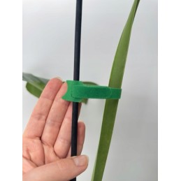 Aiandus Velcro taimede kinnitamiseks