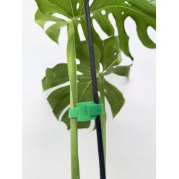 Aiandus Velcro taimede kinnitamiseks