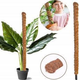 Kookospähkli varras K 50cm läbim. 2,5 cm - 1 tk