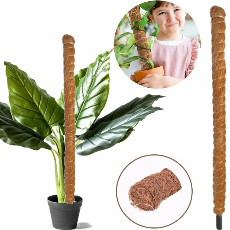 Coconut pole H 50cm diameter 2.5 cm - 1 pc.