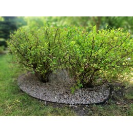 Lawn edging 45mm x 100cm x 75mm black