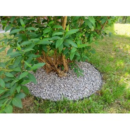 Lawn edging 45mm x 100cm x 75mm black