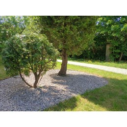 Lawn edging 45mm x 100cm x 75mm black