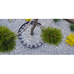 Zāliena apmale 45mm x 100cm x 75mm melna