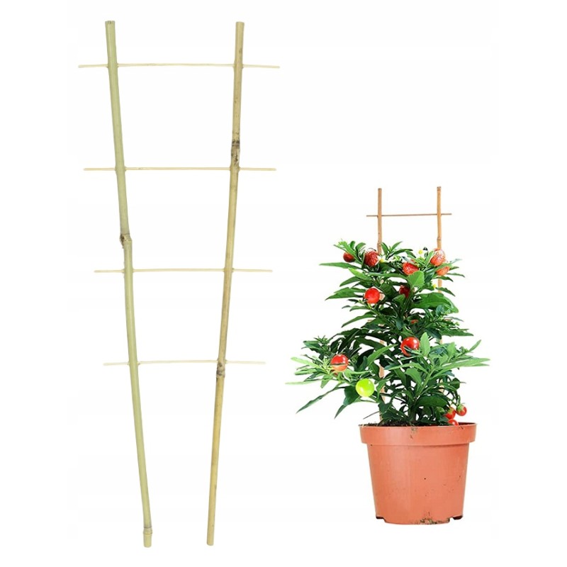 Bambusest redeli tugi lilledele ja taimedele 45cm