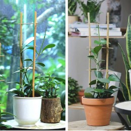 Bamboo Ladder Support for Flowers Plants 45cm
