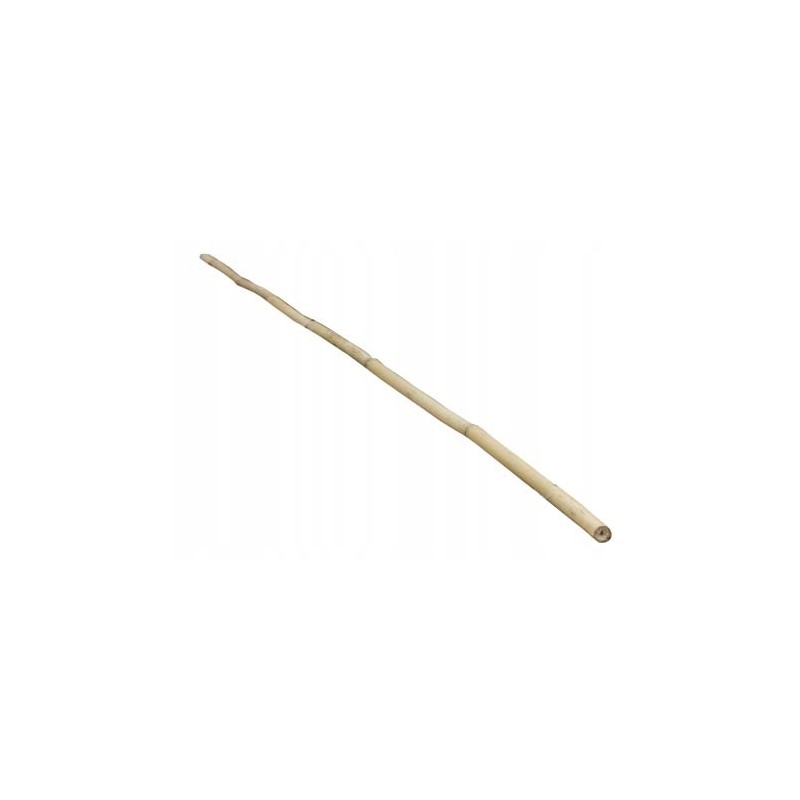 BAMBUUSTEST 120cm