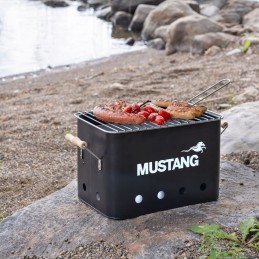 Turist kaasaskantav söegrilli peokast 32x21 cm must mustang
