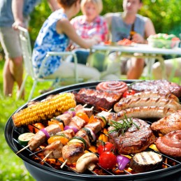 Garden charcoal grill for briquettes, closed, cover, shelf