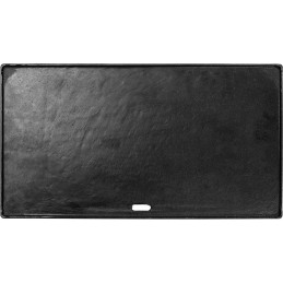 Cast iron plate for gas grill