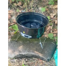 Fieldmann FZG 1003 anglis grilis 26cm + termo maišelis