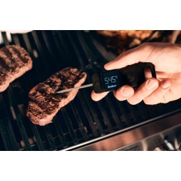 High quality thermometer enders 8601