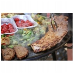 Campfire wok 40cm