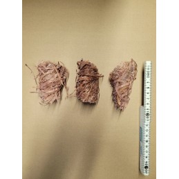 Kartoninis židinio starteris iš medžio vatos