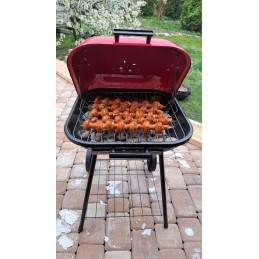 Didelė sodo grilis ant ratų su dangteliu