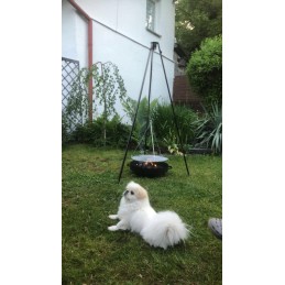 Anglies kepsninė ant trikojo su židiniu