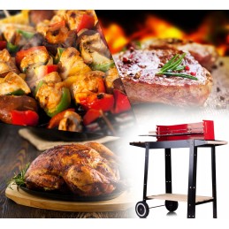 Grill&chill sodo grilis