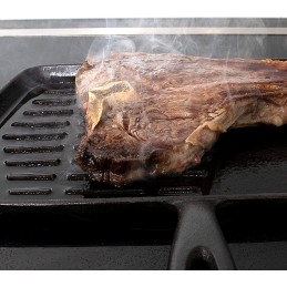 Čuguna rustler grila panna 19x34cm
