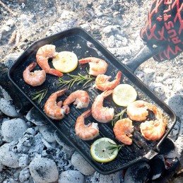 Malmist roostetav grillpann 19x34cm