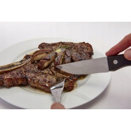 „Broil king“ kepsnių peilių rinkinys, 4 dantyti peiliai (64935)