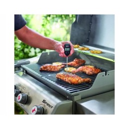 Weber momentinis termometras