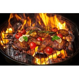 Sodo kepsninė su dangteliu, turistinė anglis, grotelės su pelenine