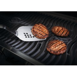 Napoleonas profesionalus kastuvas