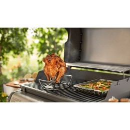 Weber paukštienos kepsninė