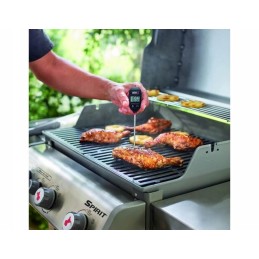 Weber momentinis termometras