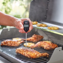 Momentinis puodo termometras