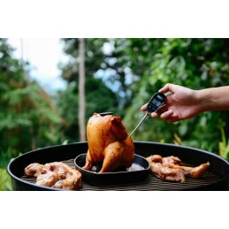 Momentinis puodo termometras