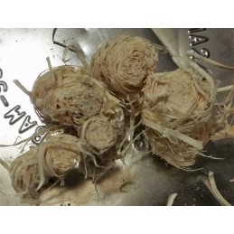 Feniks ekologiškas lengvesnis 3 kg