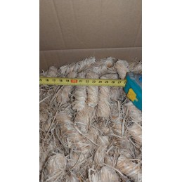 Feniks ekologiškas lengvesnis 3 kg