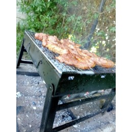 Turistinis grilis nešiojamas sulankstomas lagaminas 35 x 27 cm