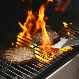 Nerūdijančio plieno grilio mentės, 2 vnt., mėsai, žuviai, pyrago pjaustyklei