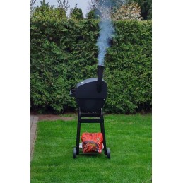 Anglies upelis: anglių upelis [tęsinys]