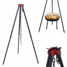 ✴️✴️✴️✴️✴️