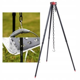 ✴️✴️✴️✴️✴️