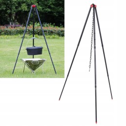 ✴️✴️✴️✴️✴️