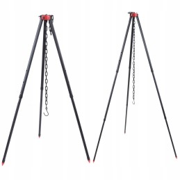 ✴️✴️✴️✴️✴️